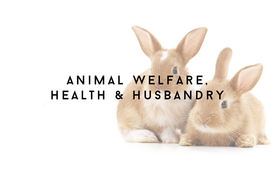 Course Image Unit 304/VN4 Applied animal welfare, health and husbandry for veterinary nurses