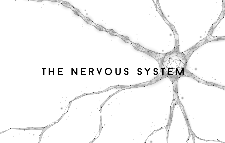 Course Image The Nervous system