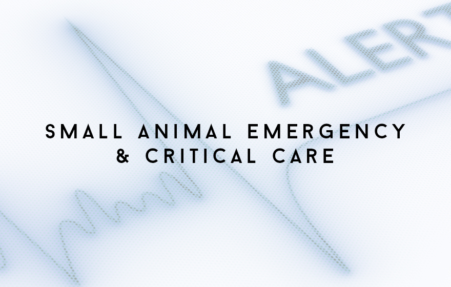 Course Image Unit 316/SAVN18 Principles of small animal veterinary nursing emergency and critical care